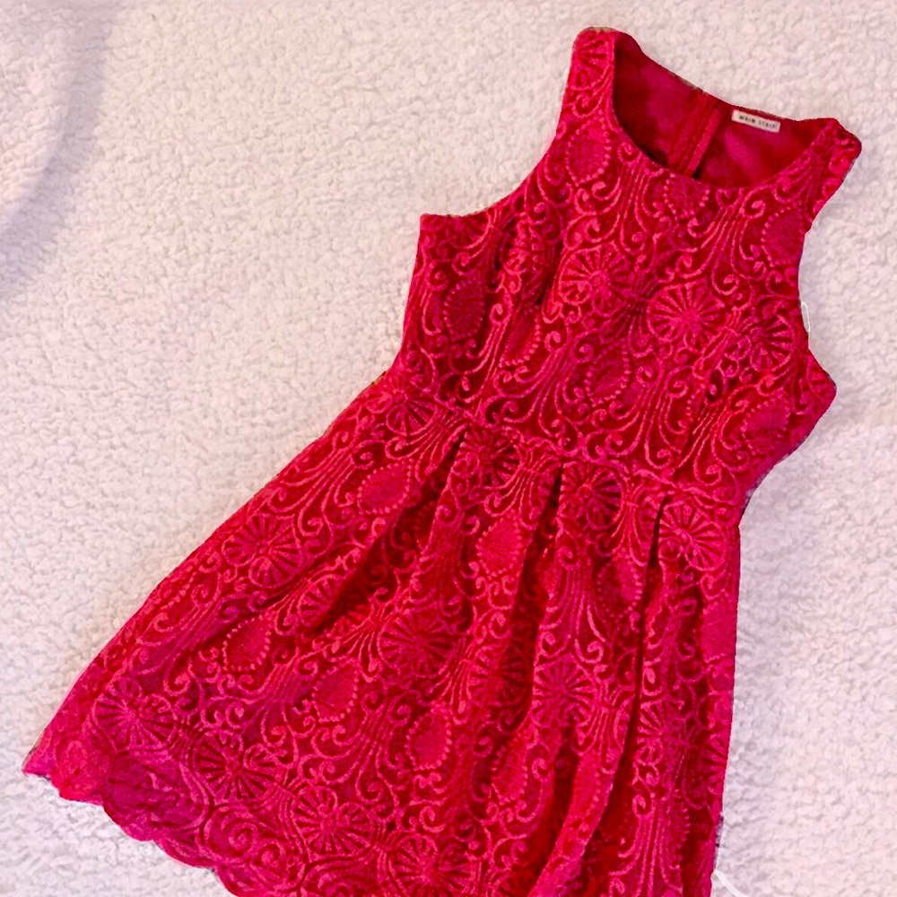 Detailed Pink Overlay Lace Waist Shaping Dress
